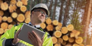 pinja-digital-forest