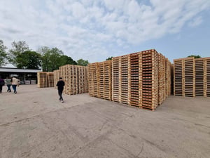custom wooden pallets at Deligna’s production facility