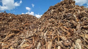 energiapuu-ennatyksellisen-kilpailtua