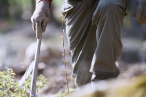 Koskisen_success_story